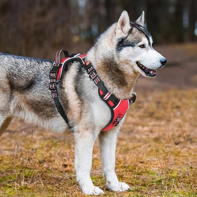 Timos Dog Harness,NO Need Go Over Dogs Head 3 Snap Buckles Pet Harness with 2 Leash Clips,Adjustable Soft Padded No-Pull,Reflective No-ChokeOxford Vest for Small Medium Large Dogs,X-Large (Pack of 1)