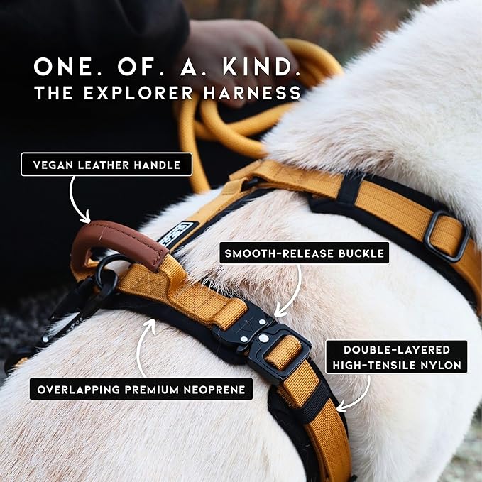 MADE TO ROAM Premium Explorer Harness - Y-Shaped Dog Harness with Adjustable Durable Nylon, Soft Padding, Metal Buckles and Leather Handle for Small, Medium, Large Dogs (Colorado Nightsky, Size 7)