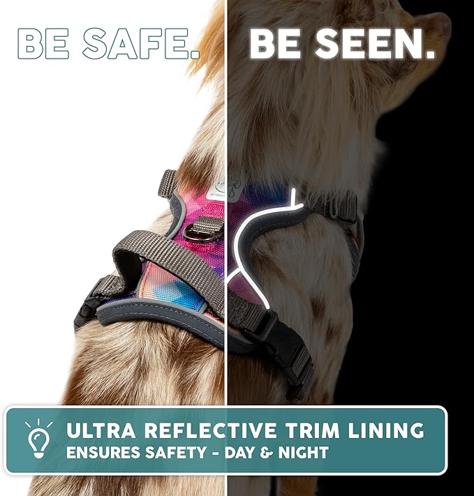 Embark Adventure Dog Harness, Reflective Trim No Pull Dog Harness for Large Dogs - Military Grade Nylon, Front Clip with Gel Lined Handle. Soft & Padded Puppy