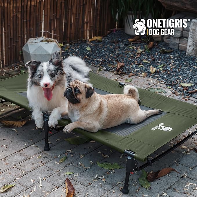 ONETIGRIS Elevated Dog Bed, Outdoor Dog Cod Large Raised Dogs Bed with Chew Proof Mesh, No-Slip Portable Dogs Cot Bed for Indoor & Outdoor Portable (Green, Large)