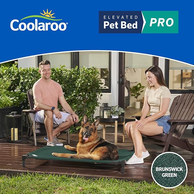 Coolaroo Pro Elevated Dog Bed - Low-Profile Access, Moisture-Resistant Cover, Breathable Fabric & Tool-Free Setup, Brunswick Green, Standard