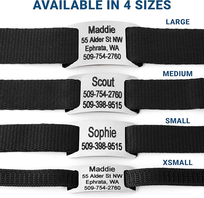 GoTags Personalized Dog Collar with Nameplate, Adjustable Dog Collar with Custom Engraved Slide On Pet ID Tag in Stainless Steel, Silent, No Noise Dog Tag for Large Medium and Small (Black, Small)