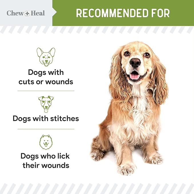 Pet Liquid Bandage for Dogs - 8 oz Spray with Aloe - Wound Care for Dogs Including Cuts, Scrapes, and Stitches - Breathable and Waterproof