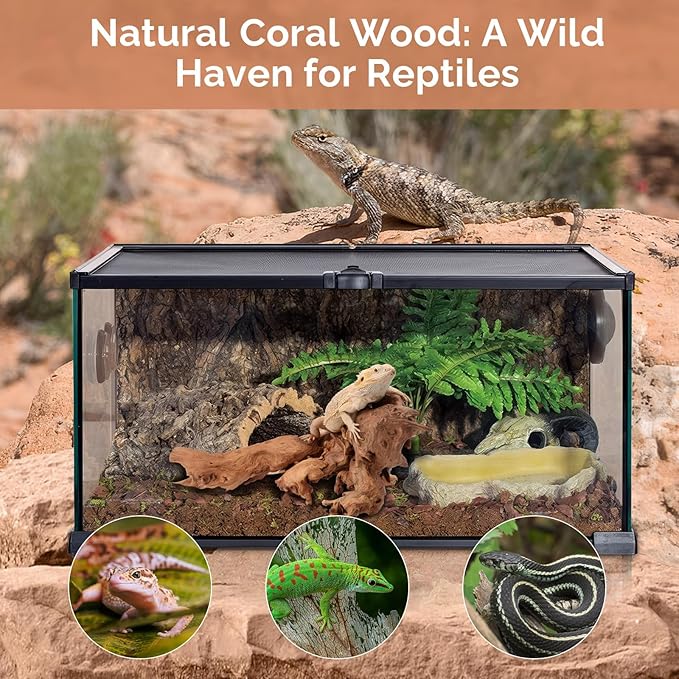 Natural Driftwood for Aquarium 12"-16" Large Aquarium Coral Wood Decor | Single Piece for Fish Tank Landscaping, Reptile Terrarium Climbing Branch, Freshwater Aquatic Wood Aquascaping