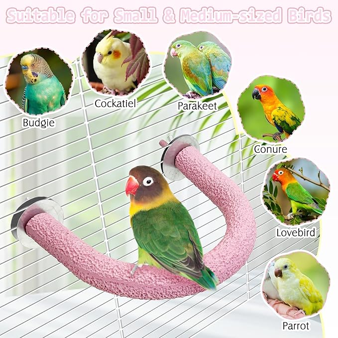 PINVNBY 5 Pack Bird Perch Resin Bird Beak Grinding Stone Parrot Cage Perch Stand Platform Foot Claws Trimmer Chew Toy Bird Cage Accessories for Budgie Cockatiel Conure Lovebird Finch (Pink)