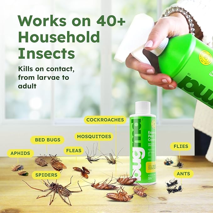 BugMD Ant Killer & Bug Spray Concentrate - Indoor Cockroach and Roach Killer, Spider Spray for Home, Fly and Insect Defense, Essential Oils, Plant-Powered, Eco-Friendly Pest Control - 3.7 Oz