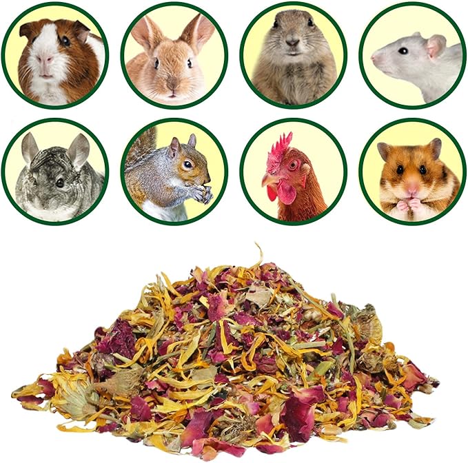 Exotic Nutrition Flower Treat 3 Pack - Healthy Assortment - Hibiscus, Calendula, Rose - for Squirrels, Guinea Pigs, Rabbits, Chinchillas, Prairie Dogs, Degus, Hamster, Gerbils, & Other Herbivores