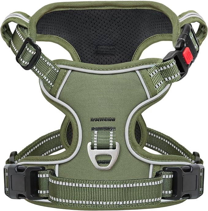 Timos Dog Harness Small Sized, No Pull Pet Harness with Neck Lockable Snap,No Choke Front Clip Dog Reflective Vest,Adjustable Metal Rings 3 Buckles,Easy Control Handle for Small Dogs Green S