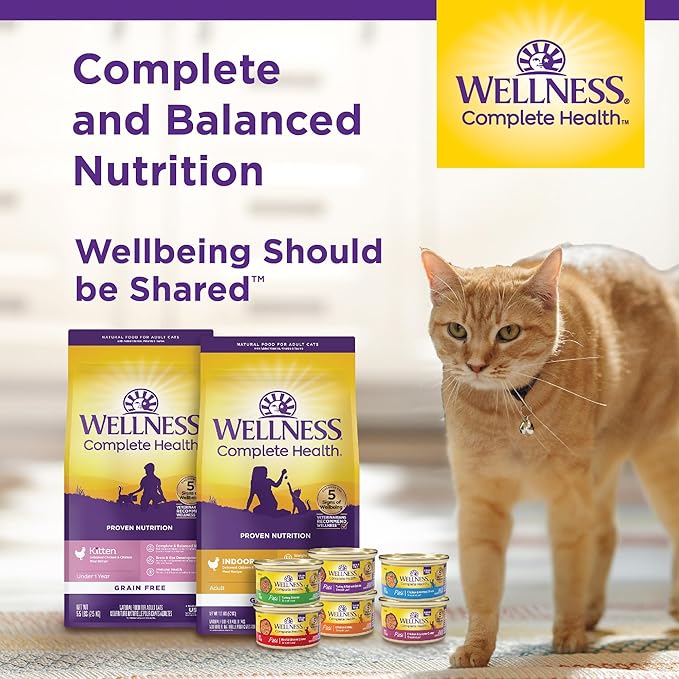 Wellness Complete Health Sliced Adult Wet Cat Food, Natural, Protein-Rich, Grain Free, 5.5 Ounce, 24 Pack, (Chicken Entrée)