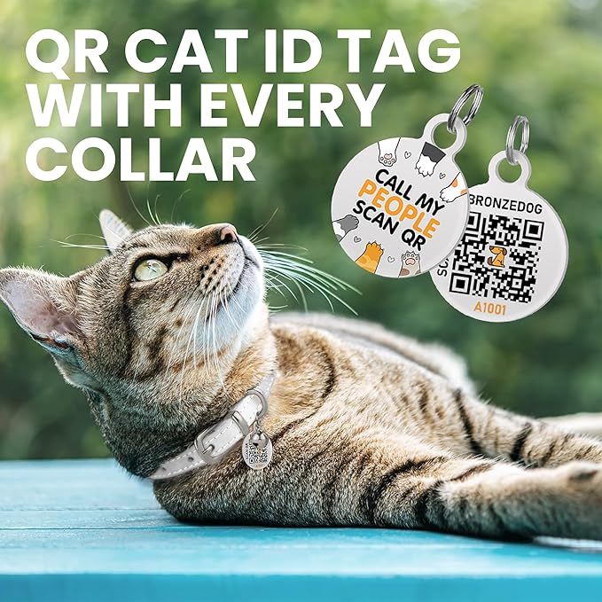 BRONZEDOG Leather Cat Collar with Removable Bells Non Breakaway Kitten QR Tag for Girl Boy (7" - 9" for Cats, White & Silver)