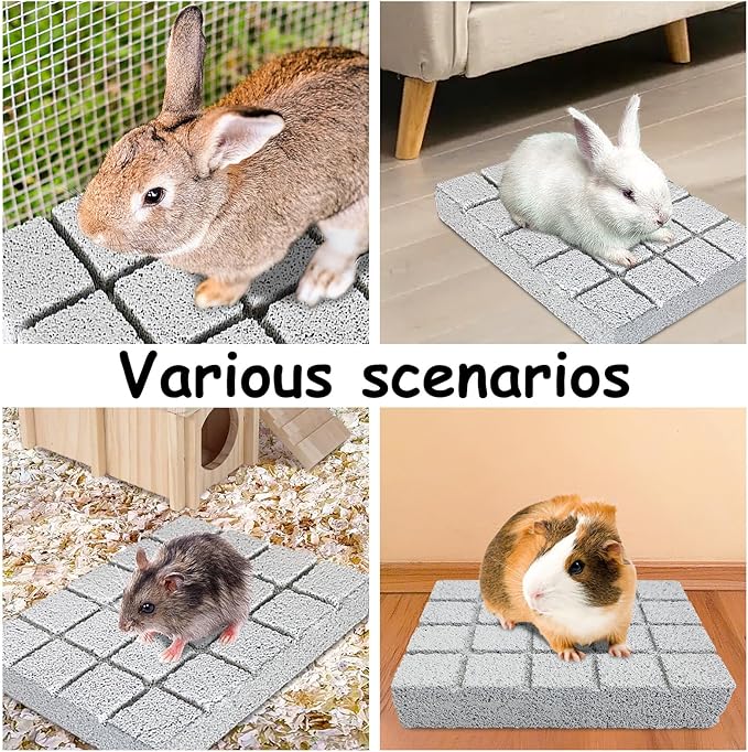 Hamiledyi 2PCS Rabbit Scratching Pads Bunny Lava Grinding Claw Pads Small Animal Foot Pads Hamster Scratch Board Chew Toys for Gerbil Chinchilla Hedgehog Guinea Pig Cage Accessories