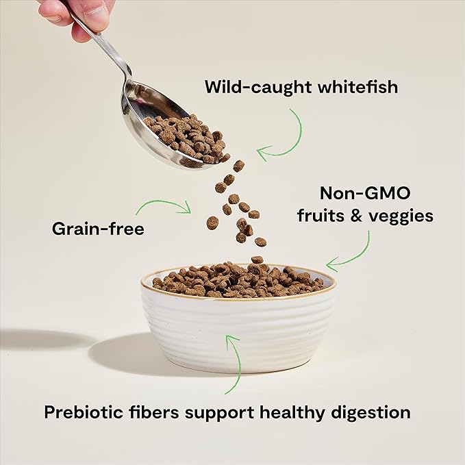 Open Farm Catch-of-The-Season Whitefish Grain-Free Dry Cat Food, Wild-Caught Fish Recipe with Non-GMO Superfoods and No Artificial Flavors or Preservatives, 8 lbs