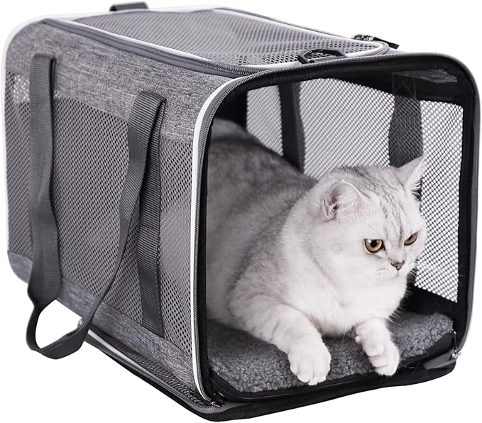 petisfam Soft Pet Carrier Bag for Cats and Puppy Under 20 lbs. Sturdy, Safe, Comfortable and Lightweight