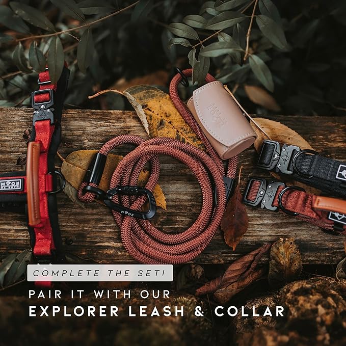MADE TO ROAM Premium Explorer Harness - Y-Shaped Dog Harness with Adjustable Durable Nylon, Soft Padding, Metal Buckles and Leather Handle for Small, Medium, Large Dogs (Texas Flair, Size 5)