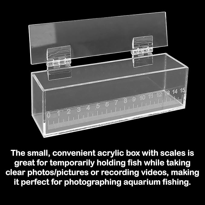 Fish Viewing Box Container with Lid and Scale, Acrylic Portable Fishing Mini Aquarium, Small Fish Breeder Hatching Boxes, Safe Tank Case for Breeding Egg Photo Isolation Outdoor Indoor