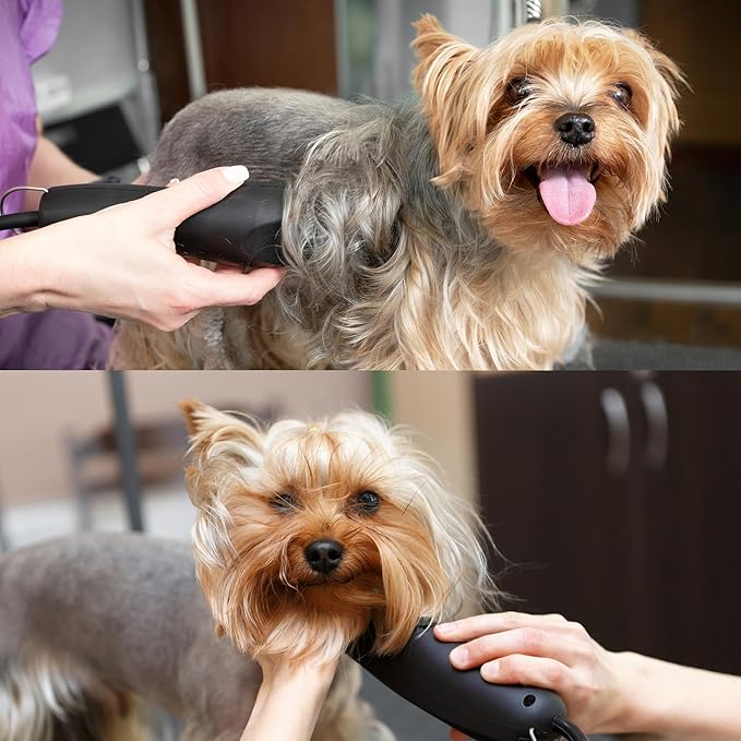 Detachable A Series 30 Blades for Dog Grooming Cuts 1/50" - 0.5mm Japanese High Carbon Steel Dog Clipper Blades & 30 Blade Dog Grooming (Compatible A5 Series Clippers for Dogs Cat (B30)