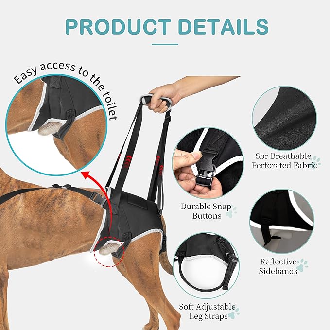 Dog Sling for Medium Dogs Hind Leg Support – Helps with Joint Pain, Mobility Issues, and Ivdd, Rear Leg Lift Harness with Chest Strap, Adjustable Elastic, and Reflective Material, M