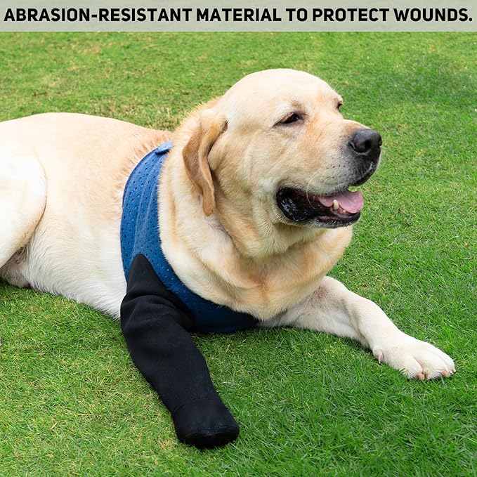 COODEO Dog Socks to Prevent Licking Paws, Healing Boots & Paw Protectors with Non-Slip Bottoms for Wound Protection, Waterproof Sleeve Shoes for Licking（Blue，L_Right