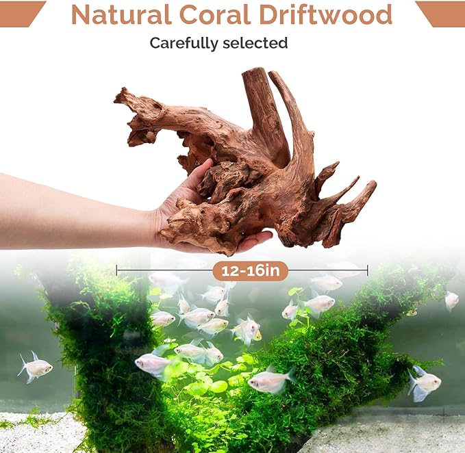 Natural Driftwood for Aquarium 12"-16" Large Aquarium Coral Wood Decor | Single Piece for Fish Tank Landscaping, Reptile Terrarium Climbing Branch, Freshwater Aquatic Wood Aquascaping