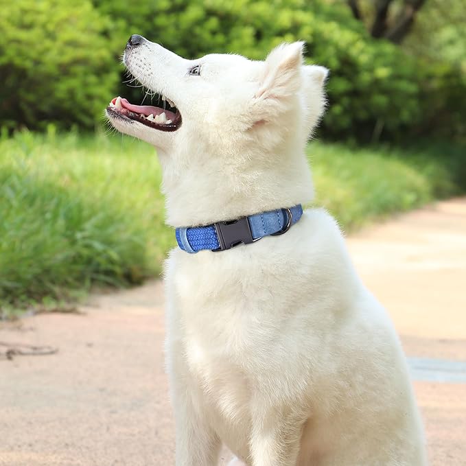 PET ARTIST Soft Cotton Dog Collar for Small Dogs in Tranquil Blue, Simple Dog Collar with Quick Release Metal Buckle & D Ring, S Size (10-16")