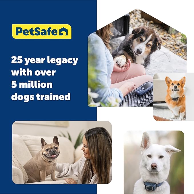 PetSafe Basic Dog Trainer with Remote – Waterproof Training Collar – 300 ft Range – Tone, Vibration and Eight Levels of Static