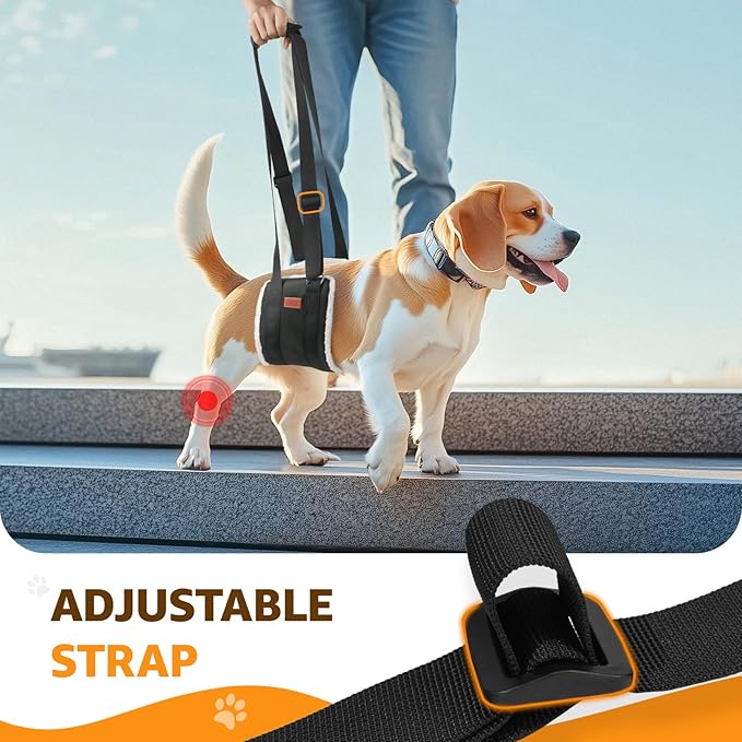 Adjustable Dog Lift Harness, Dog Sling for Large Dogs Lift Support and Rehab Harness for Weak Rear Legs, Soft Hind Leg Support Helps Senior, Injured, Disabled and After ACL Surgery Dogs(Black,Medium)