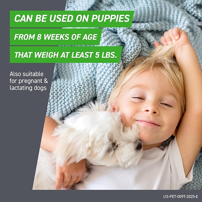 Frontline Plus for Dogs Large Dog (45 to 88 pounds) Flea and Tick Treatment, 6 Doses