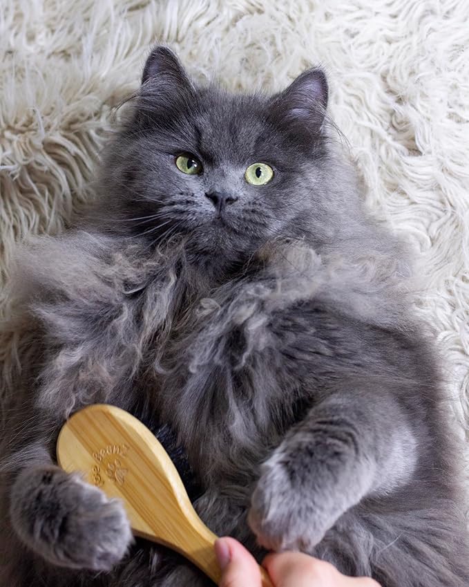 Premium Bamboo Cat Grooming Kit: Cat Brushes for Indoor Cats, Kitten Brush, and Dematting Comb for Long Haired Cats | Bamboo Grooming Supplies with kitten brush