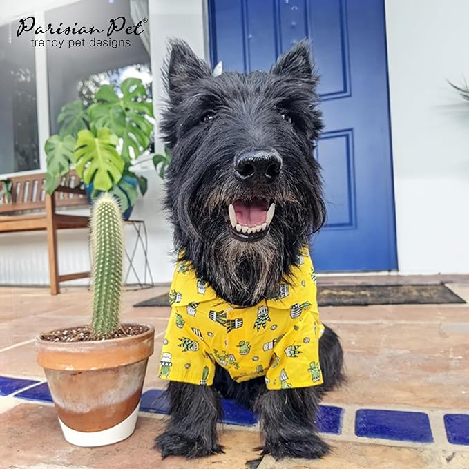 Parisian Pet Cactus Cap Beach Outfit - 100% Cotton Summer Clothes - Stylish Dog Costume - Breathable & Cool - Machine Washable - Medium Dog Shirts