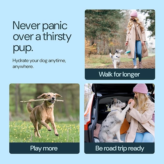 MalsiPree Trail Water Bottle for Dogs - 12oz, Black - Portable Dog Water Bottle & Bowl with Leak-Proof Plug, Food-Grade Plastic & One-Hand Operation for Pet Travel & Hiking