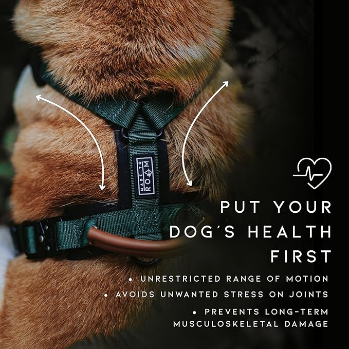 MADE TO ROAM Premium Explorer Harness - Y-Shaped Dog Harness with Adjustable Durable Nylon, Soft Padding, Metal Buckles and Leather Handle for Small, Medium, Large Dogs (Utah Glow, Size 7)