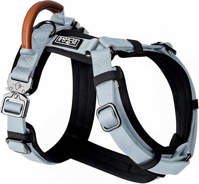 MADE TO ROAM Premium Explorer Harness - Y-Shaped Dog Harness with Adjustable Durable Nylon, Soft Padding, Metal Buckles and Leather Handle for Small, Medium, Large Dogs (Alaska Daybreak, Size 5)