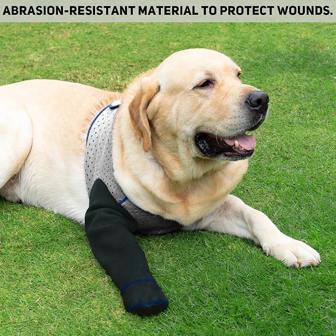COODEO Dog Socks to Prevent Licking Paws, Healing Boots & Paw Protectors with Non-Slip Bottoms for Wound Protection, Waterproof Sleeve Shoes for Licking（Grey，L_Left
