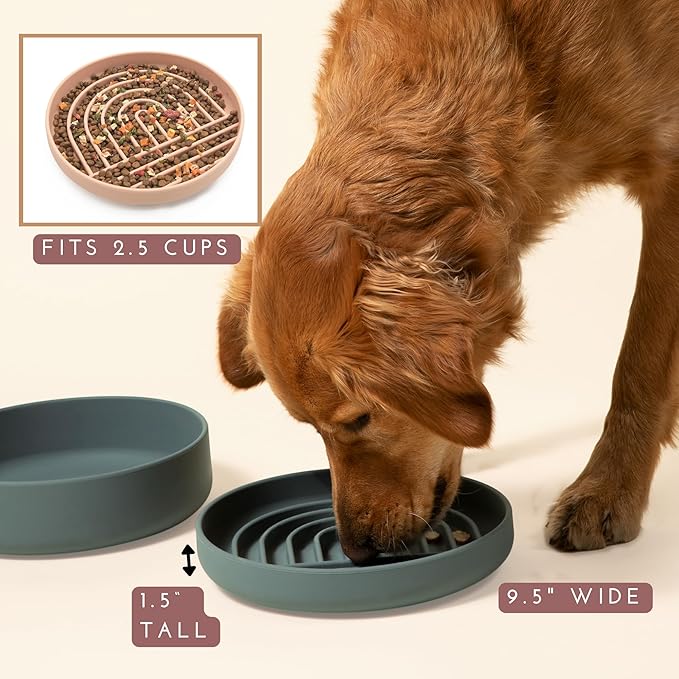 The Slowdown Bowl Silicone Slow Feeder for Dogs & Puppies, Slow Eating, Modern Lick Mat Design, Reduces Gulping, Fits 2.5 Cups 9.5” Across x 1.5” Tall, Mealtime Challenge, Large-Spruce