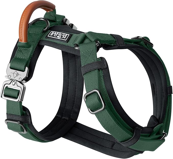 MADE TO ROAM Premium Explorer Harness - Y-Shaped Dog Harness with Adjustable Durable Nylon, Soft Padding, Metal Buckles and Leather Handle for Small, Medium, Large Dogs (Maine Marina, Size 1)