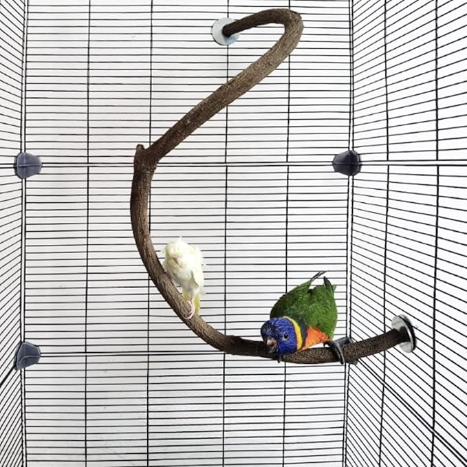Parrot Perch Stand Bird Cage Stand Pole Natural Wild Grape Stick Grinding Paw Cage Accessories for Parakeet Cockatiels Budgies Conure Lovebirds Platform (S-Shaped)