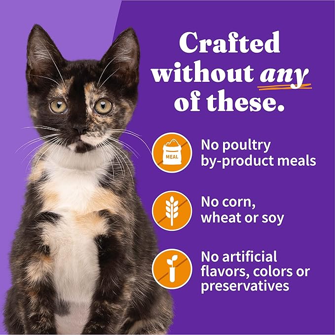 Halo Wet Kitten Food Whole Chicken Recipe, Grain Free Wet Cat Pate, Canned Cat Food to Support Brain Development, 3 Oz Can (Pack of 12)