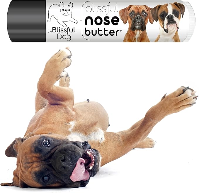 The Blissful Dog Fawn Boxer Nose Butter for Dry, Cracked Skin, Lick-Safe Dog Nose Balm with Moisturizing Shea Butter, Almond, Olive, and Essential Oils, Pet Supplies, Uncented, 0.15 oz.