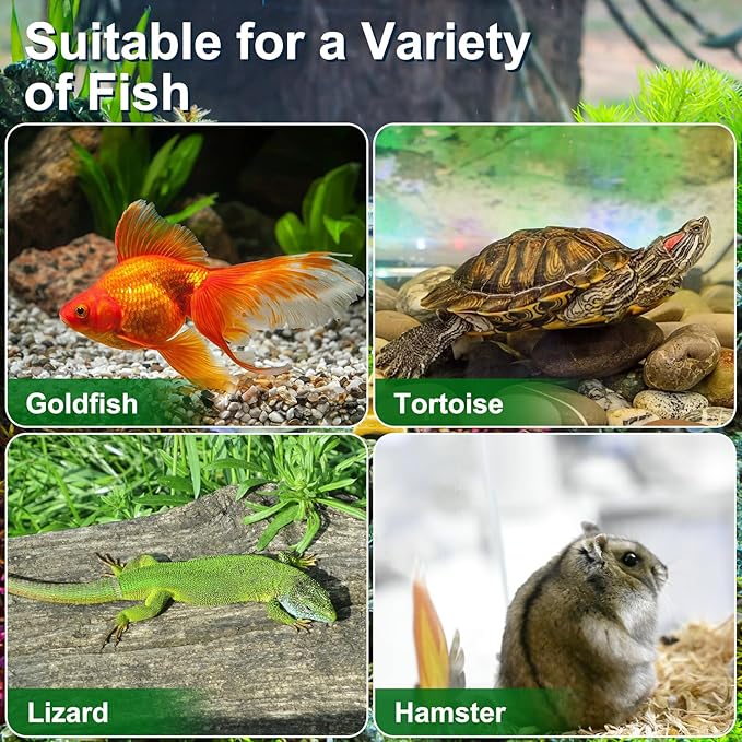 Mini Handheld Aquarium Pet Box, 4Pcs Portable Fish Tank Plastic Turtle Tank with Lid Handheld Fish Tank Clear Reptile Terrarium Hamster Box for Fish Snakes Aquarium