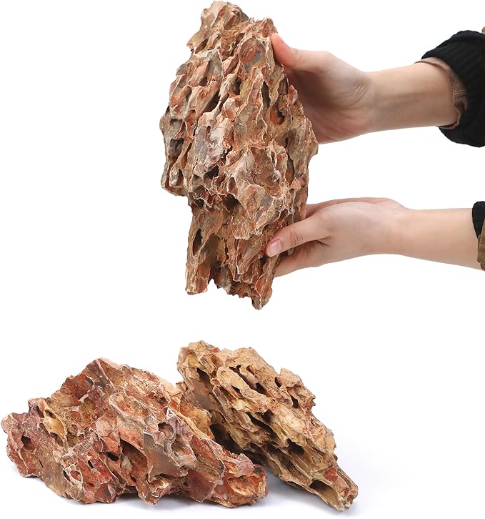 10-12 Inches Natural Dragon Stone 3 PCS Extra Large Aquarium Rocks for Aquascaping, Aquarium Landscaping, Terrariums, Fish Tank Decoration, Vivariums, Paludarium, Amphibian Enclosures