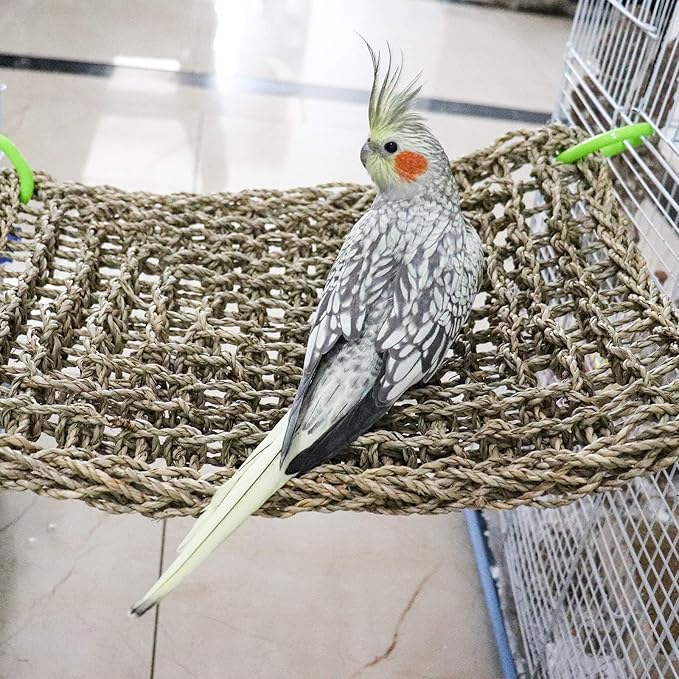 16 x 12 Inches Bird Seagrass Mat, Natural Seagrass Woven Net, Bird Hammock Mat with Hooks, Bird Cage Accessories, Climbing Rope Ladder Chew Toys for Cockatiel Hamster Guinea Pig Rats Hamster Parakeet