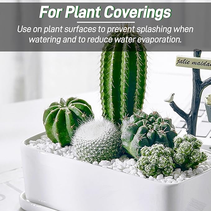 45lb White Cactus Pea Gravel Rocks,1/4 Inch Pebbles for Indoor Plants, Natural Succulent Rock and River Rocks Decorative for Aquariums, Vases, Outdoor Gardening, Top Dressing for Potted Plants