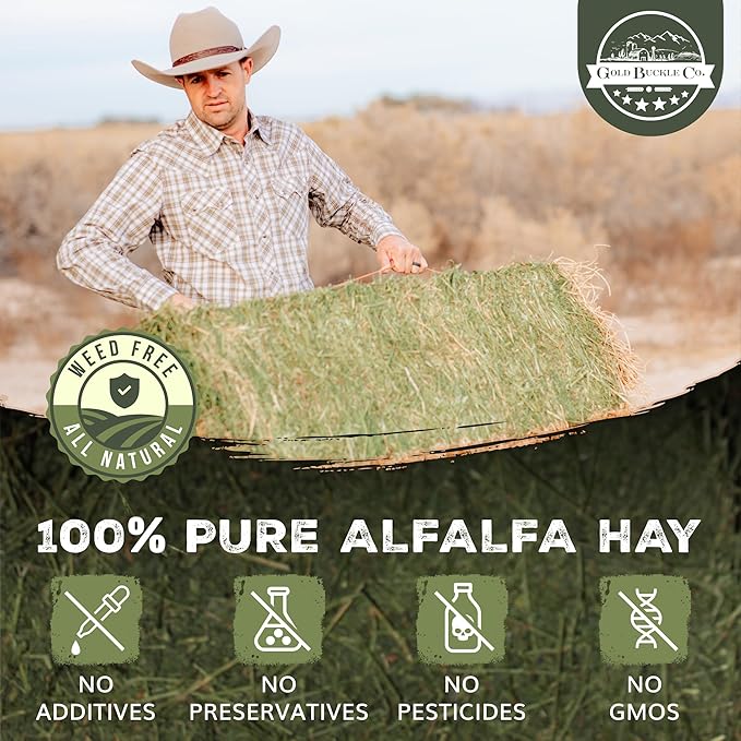 40lb Freshly Dried Organic Alfalfa Hay for Guinea Pigs, Rabbits, Chinchillas, Goats, Hamsters & Ferrets, Small Animal Food Rich in Protein & Fiber, Hand-Selected, Hand sorted, USA Grown