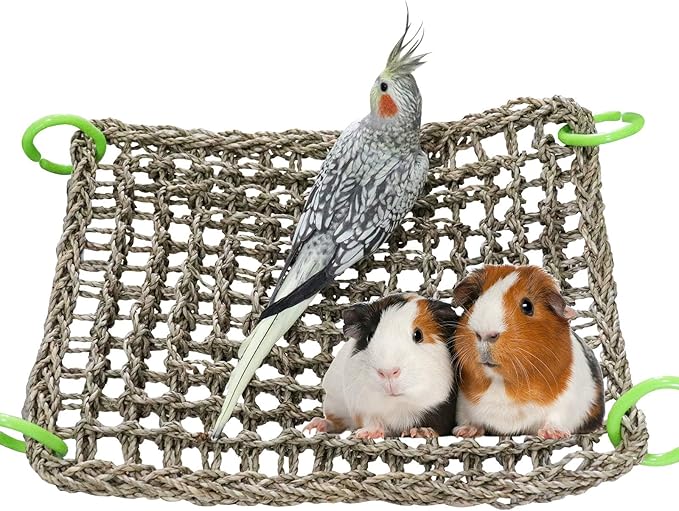 16 x 12 Inches Bird Seagrass Mat, Natural Seagrass Woven Net, Bird Hammock Mat with Hooks, Bird Cage Accessories, Climbing Rope Ladder Chew Toys for Cockatiel Hamster Guinea Pig Rats Hamster Parakeet