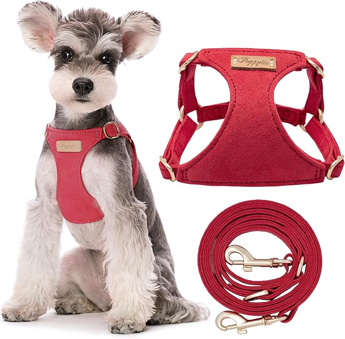 Puppytie No Pull Small Dog Harness with Multifunction Dog Leash,Lightweight Soft Adjustable No Choke Escape Proof Pet Harness Vest Pet Harness Vest,red-Camellia,S