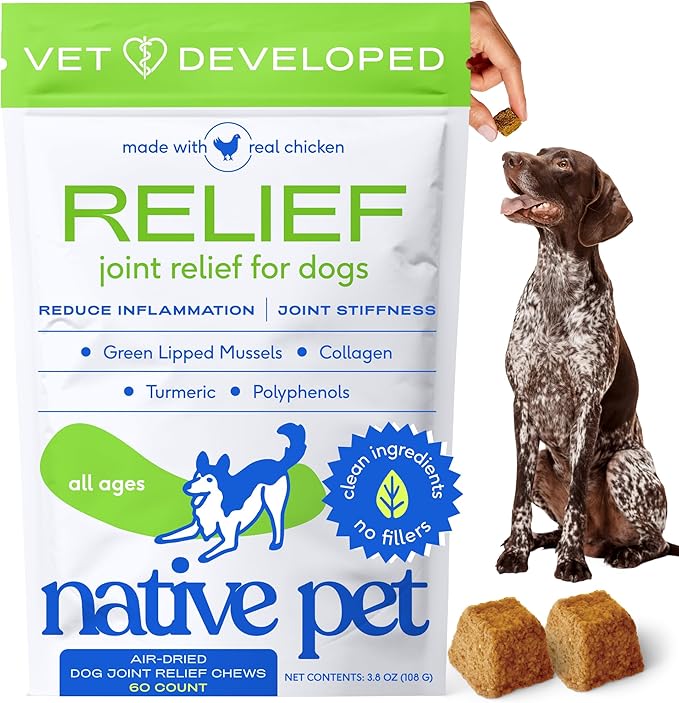 Native Pet Pain Relief for Dogs - Collagen for Dogs Promotes Joint Health, Reduce Inflammation & Stiffness - Senior Pup Joint Supplement - Natural Pain Reliever for Active & Aging Pets - 60 Chews