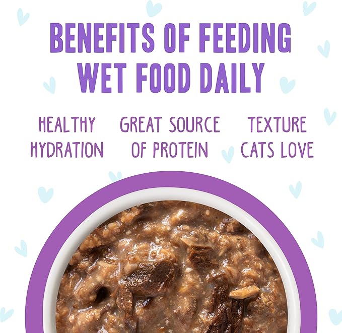 Weruva B.F.F. OMG - Best Feline Friend Oh My Gravy!, Booya! Beef & Chicken in Gravy Cat Food, 2.8oz Pouch (Pack of 12)