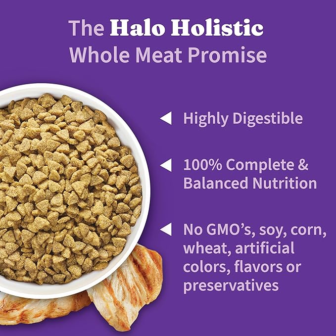Halo Holistic Cage Free Chicken Cat Food, Healthy Grains Dry Cat Food, Complete Digestive Health, Kibble for Adult Cats, 6 lb Bag