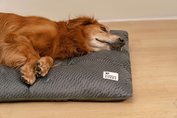 FUNNY FUZZY Washable Dog Bed,Reversible Plush Dog Crate Mat, Soft Fluffy Kennel Pad,Pet Sleeping Mattress for Jumbo,X-Large Sized Dogs Breeds,2XL,48"× 31",Grey