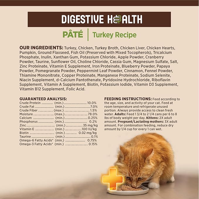 Wellness CORE+ Digestive Health Pate Adult Wet Cat Food, Natural, Protein-Rich, Grain Free, 3 Ounce, 12 Pack (Turkey)